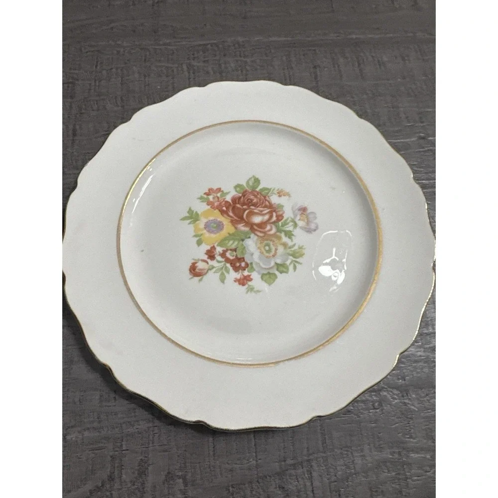 Vintage Canonsburg Floral Plates Set of 2 – 9